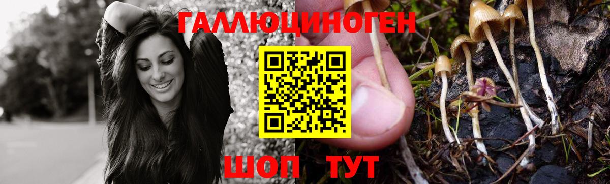 Иваново  Псилоцибиновые грибы Psilocybe  закладка  Вход с VPN 